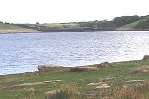 Penwith Birdwatching