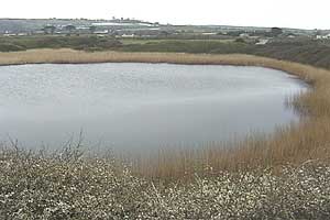 Long Rock Pool