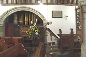 Organ