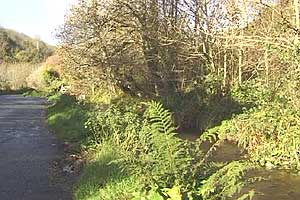 Penberth Stream