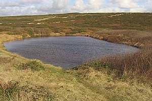 Porthgwarra Pool
