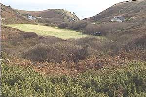 Porthgwarra Valley